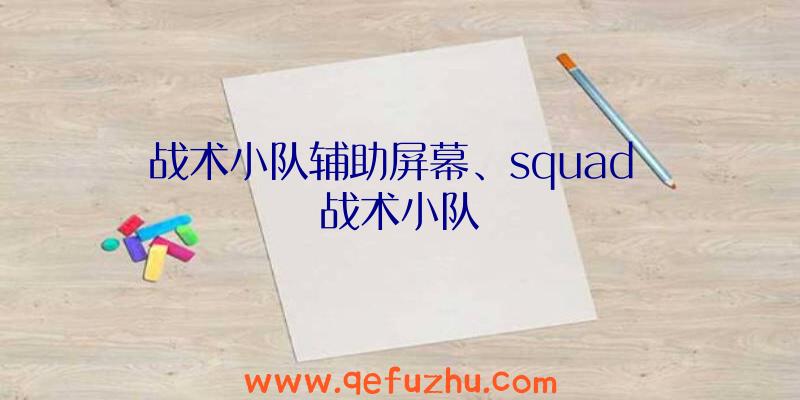 战术小队辅助屏幕、squad